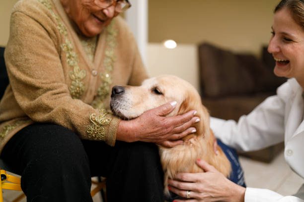 An elderly woman lovingly pets a golden retriever indoors.